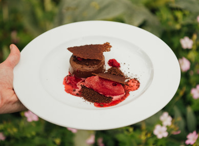 TFH Food June 24 88