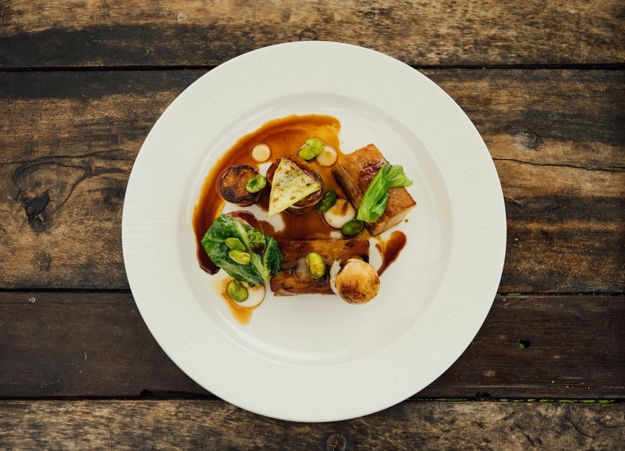 TFH Food June 24 2