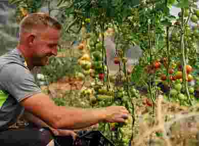 No-dig garden at The Farmhouse at Redcoats