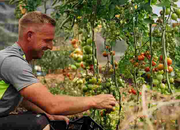 No-dig garden at The Farmhouse at Redcoats