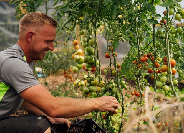 No-dig garden at The Farmhouse at Redcoats