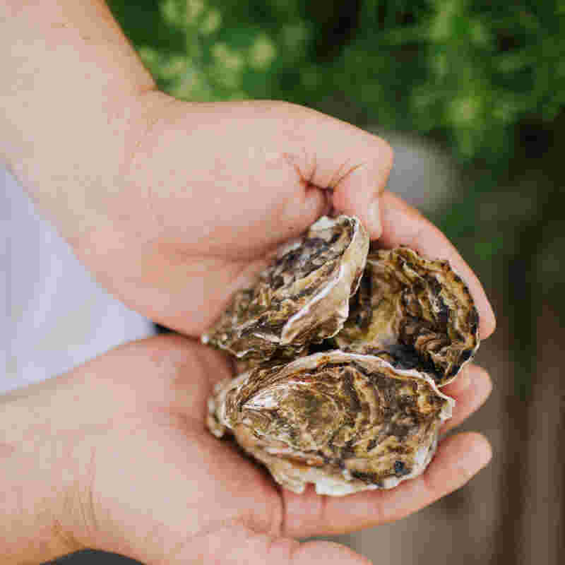 Fresh seafood from norfolk coastline